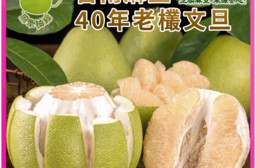麻牽柚緣 台南麻豆三代果園40年老欉文旦禮盒