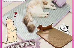 夏日可愛護頸靠枕寵物涼蓆睡墊 小號 墊+枕