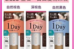 【 日本製 Cielo】 宣若 Hoyu 1 day速乾 白髮棒 補染梳 快速補