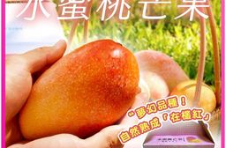 【雪莉朵辣嚴選】水蜜桃芒果 2.5公斤/箱