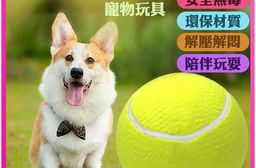 9.5寸充氣大網球寵物玩具球