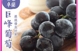 【禾鴻】苗栗卓蘭優等巨峰葡萄5斤(8-10串/盒)