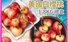 築地一番鮮 10.0折! - 空運華盛頓白櫻桃1.8Kg