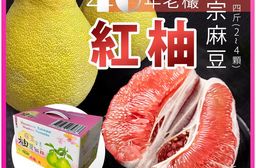 預購-40年老欉【柚香柚甜】正宗麻豆紅柚 四斤箱(2-4顆)
