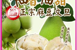 預購-【柚香柚甜】正宗麻豆文旦 10斤箱（7-9顆）