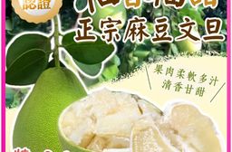 預購-特優【柚香柚甜】正宗麻豆文旦 5斤箱（6-8顆）