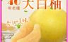 柚香柚甜 10.0折! - 預購-40年老欉正宗麻豆大白柚 十斤箱(4-5顆)/20斤箱(7-1