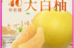 預購-40年老欉【柚香柚甜】正宗麻豆大白柚 十斤箱(4-5顆)/20斤箱(7-1
