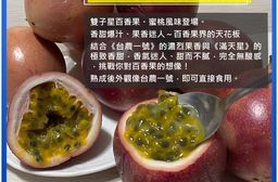 【南投埔里大坪頂直送】特A級雙子星百香果5台斤(產地直送_友善耕種)