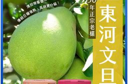 【雪莉朵辣嚴選】台東正宗老欉 東河文旦 5斤箱(6-8粒)/十斤箱(11-15粒