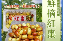 【雪莉朵辣嚴選】鮮摘紅棗 1200g/箱 (每箱2盒裝)