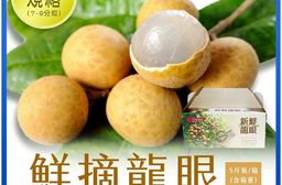 【雪莉朵辣嚴選】鮮摘龍眼大果 5斤箱 (大果規格｜7-9分粒｜剪粒去枝)