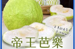 【雪莉朵辣嚴選】帝王芭樂 5斤箱(6-8粒)/十斤箱(11-15粒)
