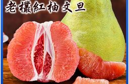 【禾鴻】預購 台南麻豆40年老欉文旦紅柚禮盒4斤/盒(2-4顆/盒)