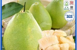 【禾鴻】預購 台南麻豆40年老欉文旦禮盒 5斤(4-6顆/盒)