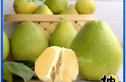 【柚見福緣】預購 麻豆50年老欉文旦A級禮盒5斤/盒(4-6顆/盒)