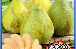 【禾鴻】預購 台南麻豆40年老欉惜福文旦禮盒10斤/箱(NG文旦)