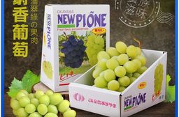 【築地一番鮮】日本空運超甜無籽麝香葡萄禮盒(625g/串)