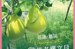 【禾鴻】預購 花蓮鶴岡嚴選頂級50年老欉文旦禮盒5斤/盒(6-8粒/盒)
