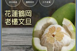 預購【築地一番鮮】65年以上金牌獎老欉花蓮鶴岡大顆文旦禮盒 9/16-9/22出