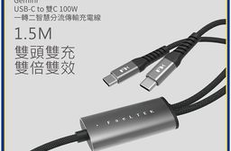 【Feeltek】Gemini USB-C to 雙C 100W 一轉二智慧分流