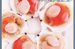 【勝崎生鮮】極鮮半殼扇貝300g