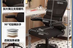 【E家工廠】護腰人體工學椅 電腦椅 辦公椅 透氣網椅 自適應腰托 450