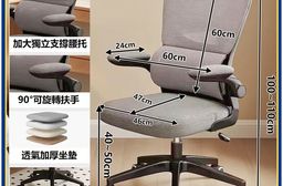 【E家工廠】護腰人體工學椅 電腦椅 辦公椅 透氣網椅 自適應腰托 452