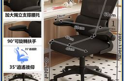 【E家工廠】護腰人體工學椅 電腦椅 辦公椅 透氣網椅 自適應腰托 459