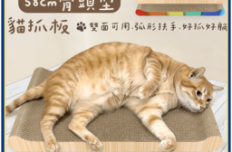 加大加厚 骨頭型貓抓板