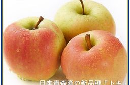【一等鮮】日本青森Toki蘋果