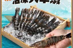 【享吃海鮮】極品活凍大草蝦270g (一盒10隻)  蝦子/大蝦/Q彈/新鮮