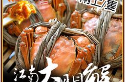 預購【築地一番鮮】蟹膏活體江南大閘蟹4兩上組合/加碼工具組 10/14-22出