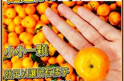 <台灣紅>超迷你珍珠砂糖橘-三斤裝