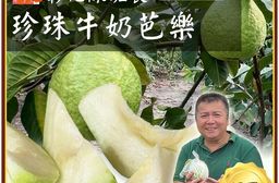 【雪莉朵辣嚴選】彰化陳班長冠軍 白肉芭樂 5斤/箱 珍珠牛奶芭樂