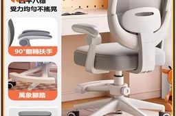【E家工廠】升降學習椅 電腦椅 成長學習椅 人體工學椅 學習椅 487