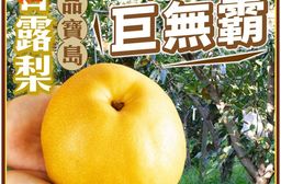 【雪莉朵辣嚴選】寶島甘露梨 A級大果5公斤箱(六粒裝)/帝王級特大果6.5公斤箱
