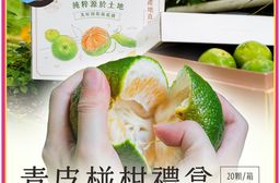 【川涌果園】青皮椪柑禮盒20顆/箱（約7.5斤）