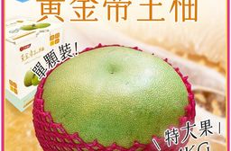【雪莉朵辣嚴選】彰化正宗50年老欉 黃金帝王柚 單顆裝/約4公斤