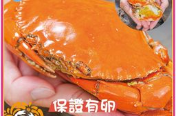 【鮮綠生活】爆卵熟凍紅蟳(200/230g/隻) 2隻裝/包