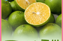 【享吃鮮果】鮮採特選帝王柑(5斤±5%/箱) 水果 柑桔 秋冬限定