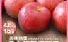築地一番鮮 7.2折! - 紅顏姬｜M尺寸｜日本青森蘋果禮盒組｜15±1顆｜4.8kg