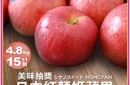 【築地一番鮮】紅顏姬｜M尺寸｜日本青森蘋果禮盒組｜15±1顆｜4.8kg