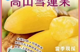 【雪莉朵辣嚴選】高山雪蓮果 5斤箱/12-15粒 (富含菊糖.膳食纖維.低熱量，