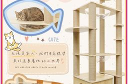 貓本屋 台灣製 雙橢圓太空艙加大貓屋實木貓跳台