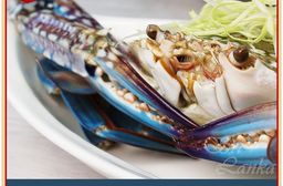 【築地一番鮮】XL｜斯里蘭卡｜公花蟹250-300g ｜