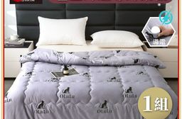 【OLuLu】石墨烯超導絲柔被(180x210cm)