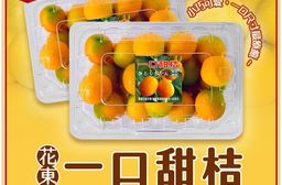 雪莉朵辣嚴選【花東】一口甜桔 大果/小果 2公斤(4盒/箱) -薄皮細肉、連皮可