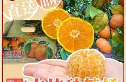 【雪莉朵辣嚴選】古坑砂糖橘 5斤/箱(約25-35粒)