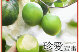 【禾鴻】燕巢甜蜜爽脆珍愛蜜棗禮盒12入裝/盒(單顆5兩以上)